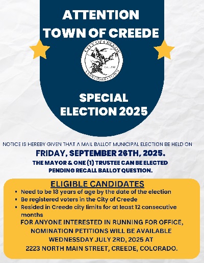 Flyer for Special Election