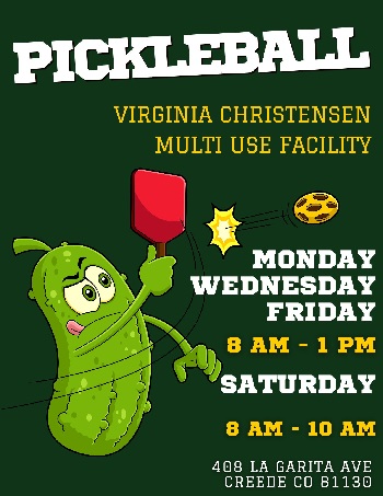 Flyer for Pickleball