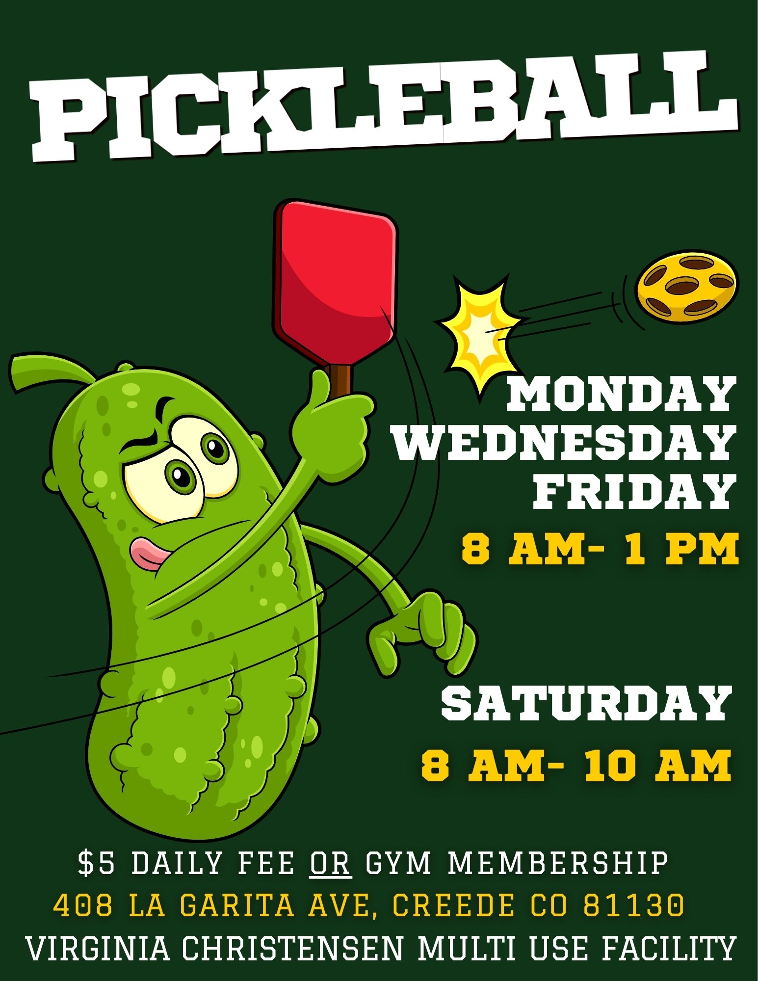 Flyer for Pickleball